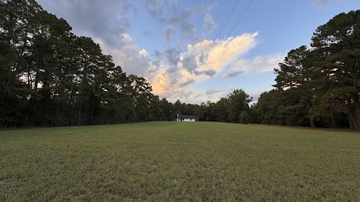 Photo from customer review