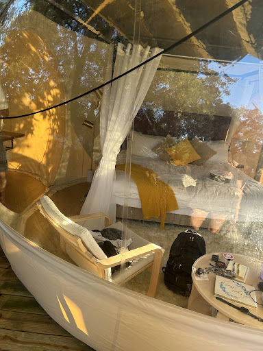 Photo from customer review