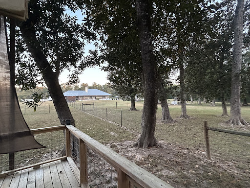 Photo from customer review