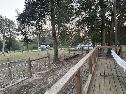 Photo from customer review