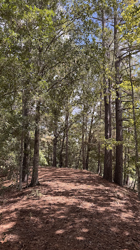 Photo from customer review