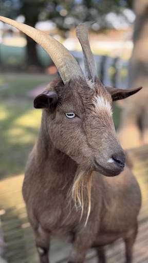 Photo from customer review