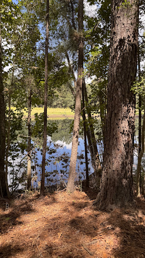 Photo from customer review