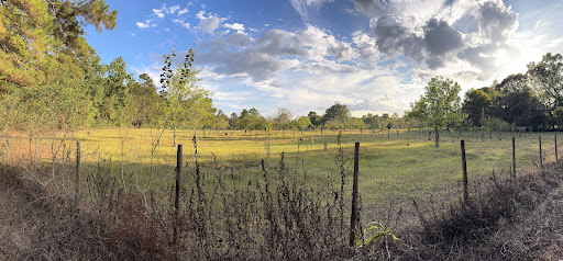 Photo from customer review