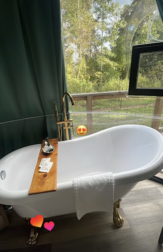 Photo from customer review