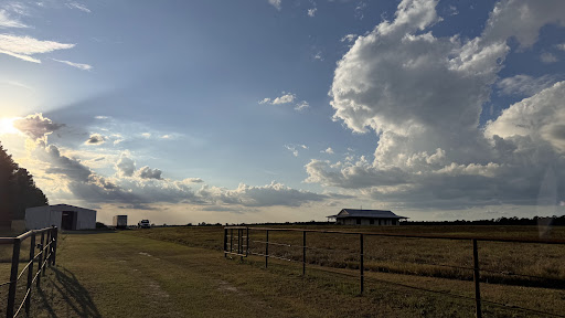 Photo from customer review