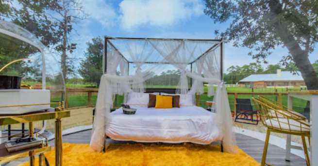 Romantic Texas winter escape in a luxury bubble dome