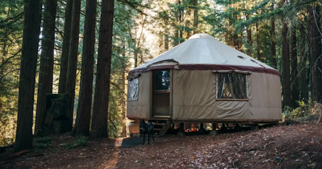 Enjoy a cozy bubble glamping stay under the summer sky, surrounded by nature.