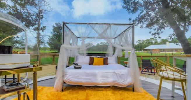 Romantic Texas winter escape in a luxury bubble dome